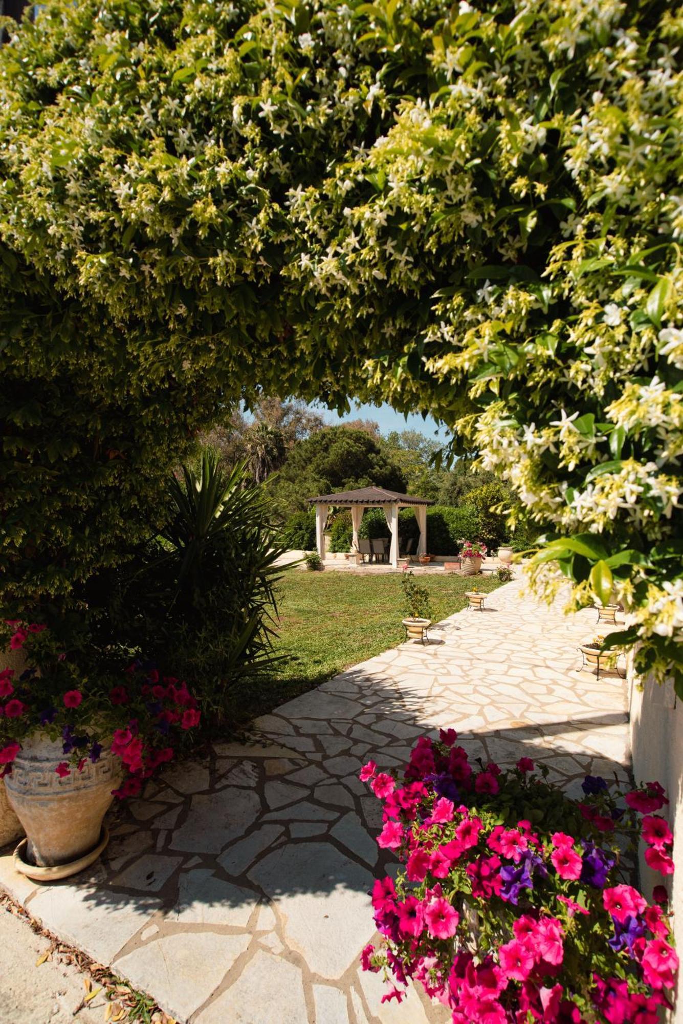 Angelique Apartments Agios Georgios (Corfu) Exterior foto